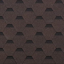 Финик